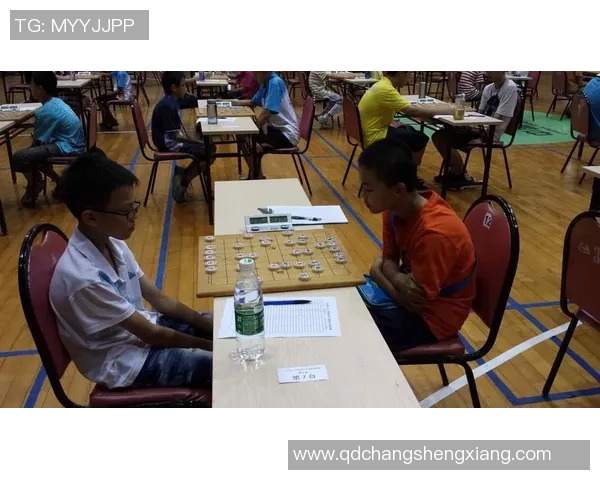 LNG在精英赛中的状态分析与表现评估探讨